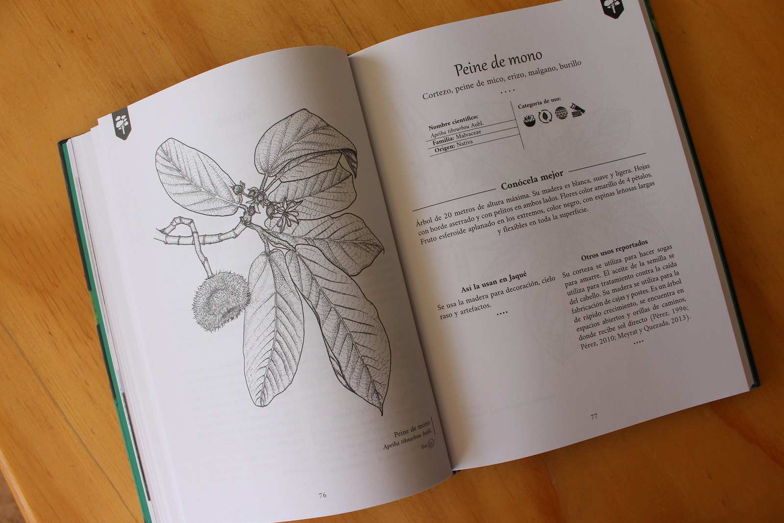 Jardines en Balsas - Vista 3